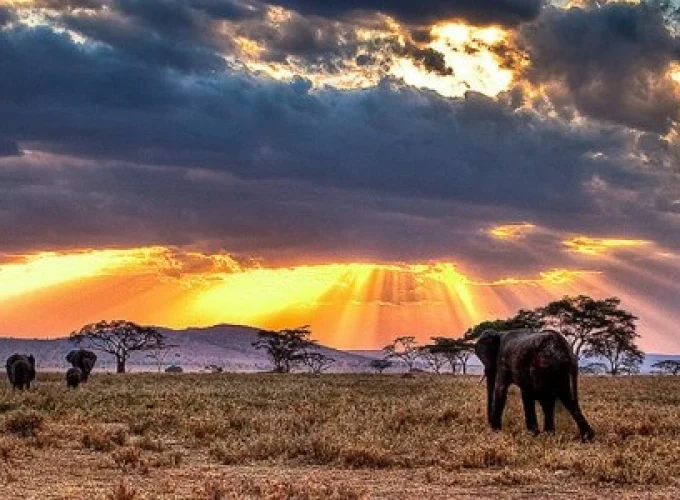 Kibale National Park