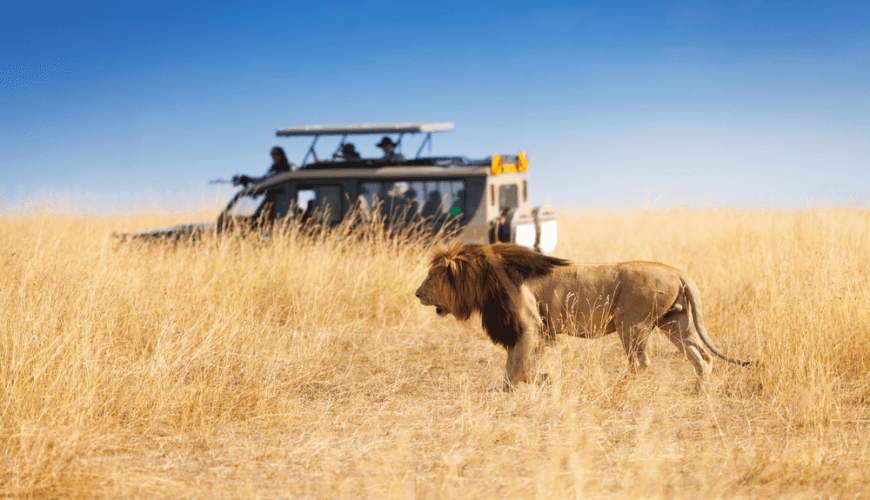 An Expert Guide To Planning a Kenya Budget Safari