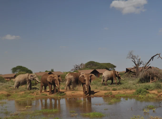 6 Days Great Rift Valley Maasai Mara Safari