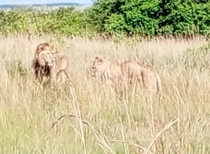 Arusha National Park