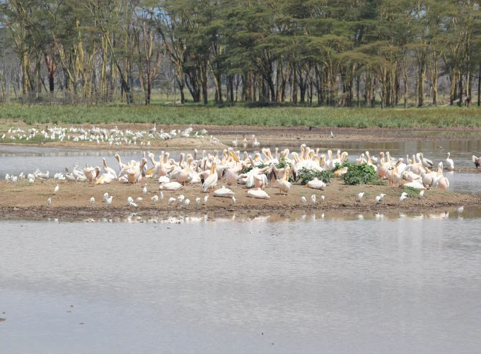 Kenya, Tanzania & Zanzibar Beach Safari (17 Days)