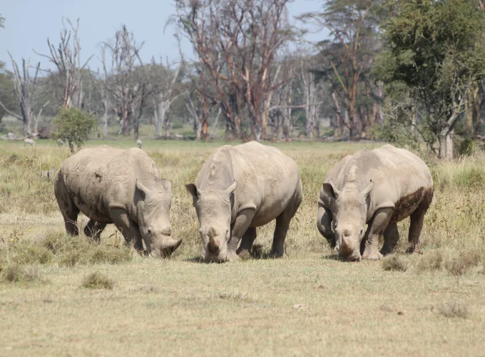 Liuwa Plain National Park