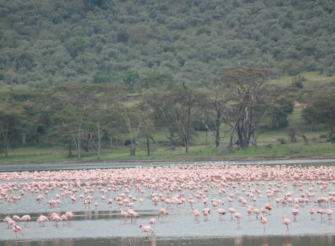 Safari Mpaka (6 Days)