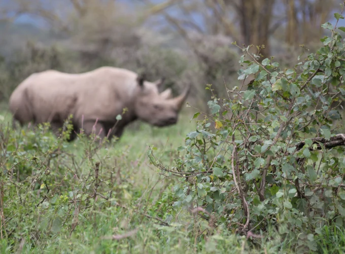 Semuliki National Park
