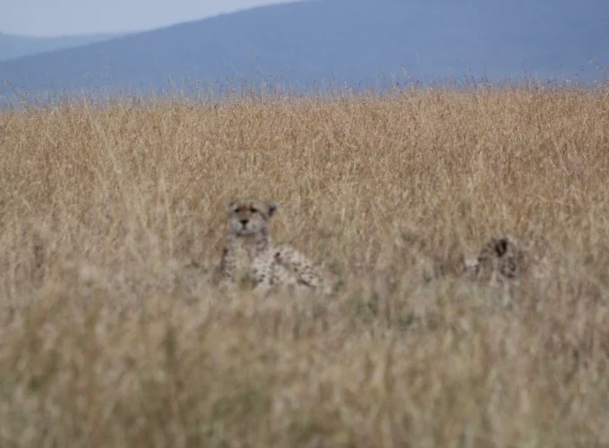 Kilimanjaro National Park