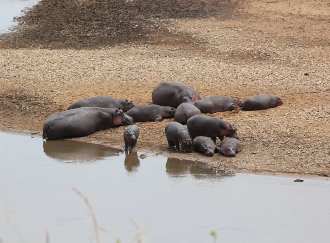 Katavi National Park