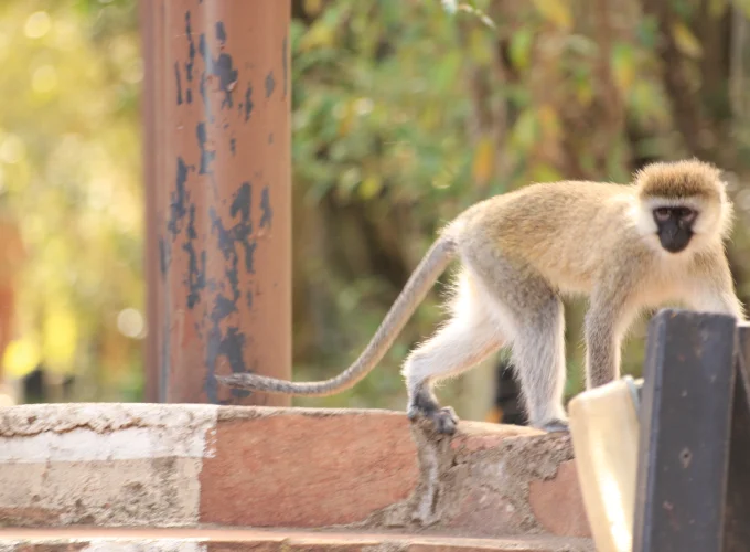 Queen Elizabeth National Park