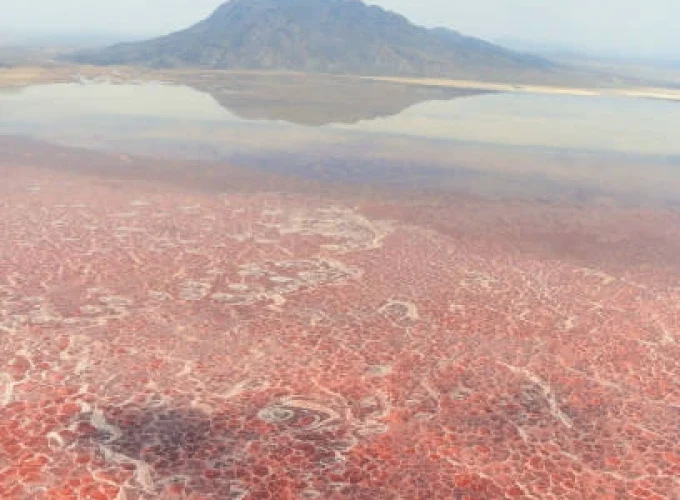 Lake Natron