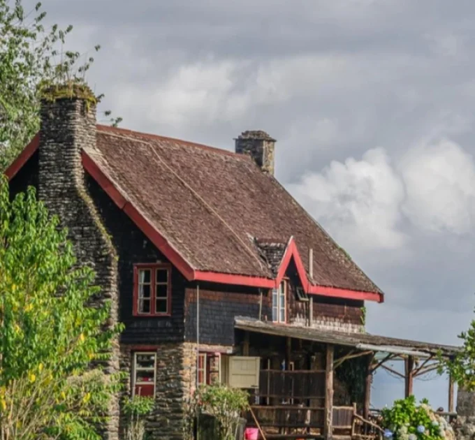 Castle Forest Lodge
