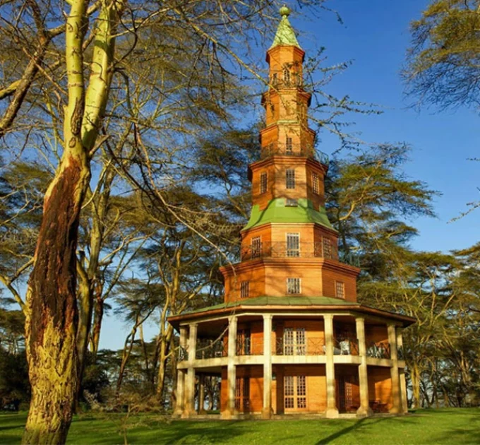 Dodo’s Tower