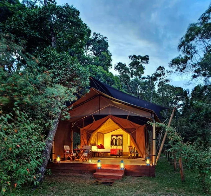 Elephant Pepper Camp