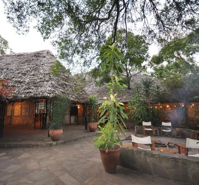 Fig Tree Camp