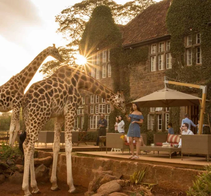 Giraffe Manor