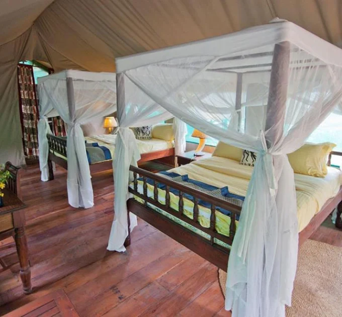 Gombe Forest Lodge