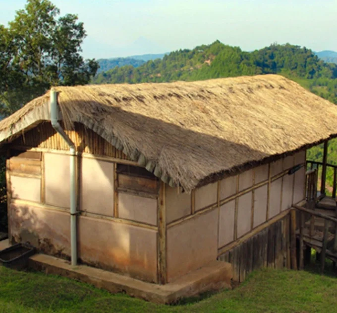 Gorilla Mist Camp