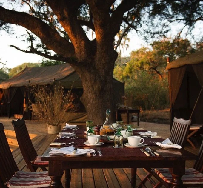 Katavi Hippo Garden