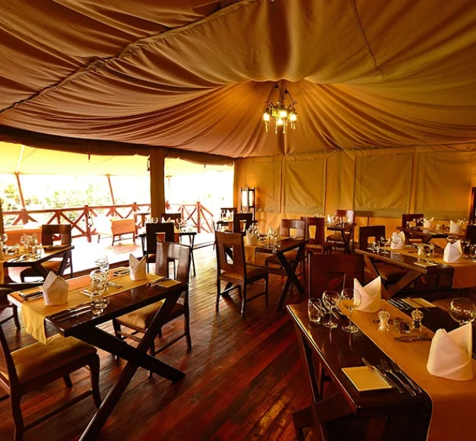 Kiboko Luxury Camp