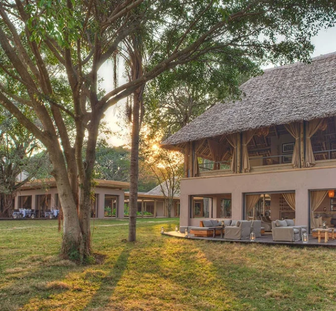 Kichwa Tembo