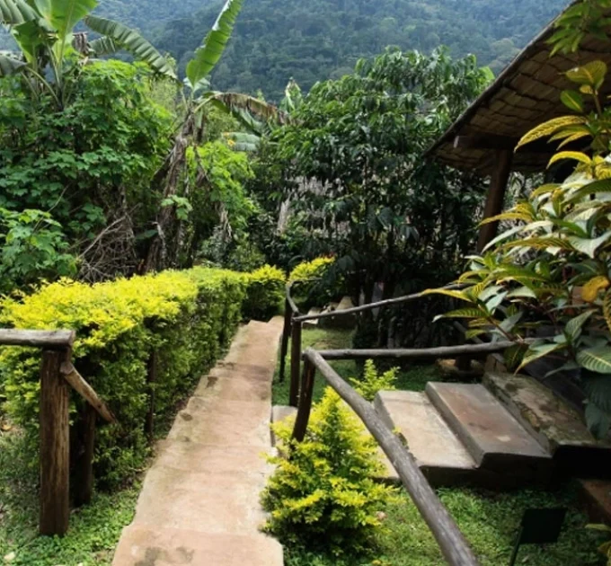 Lake Kitandara Bwindi Camp