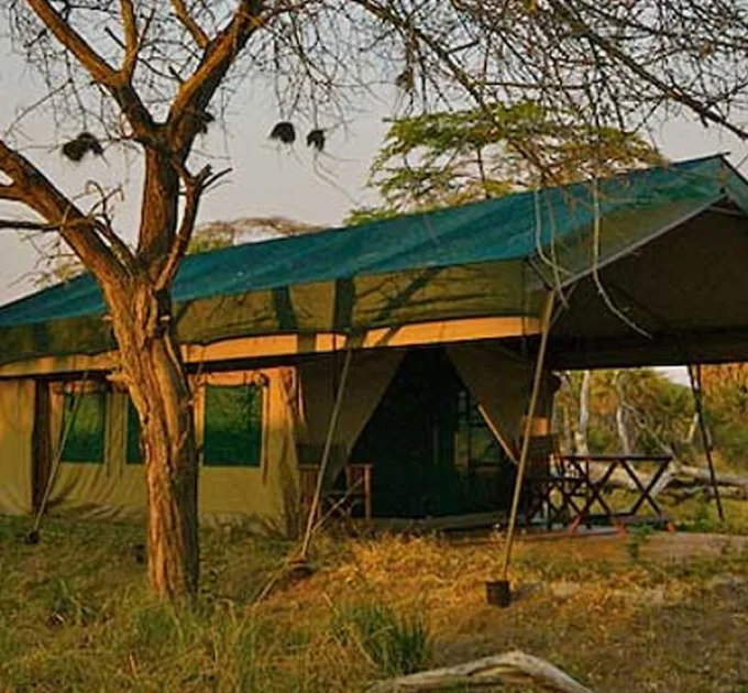 Lake Manze Camp