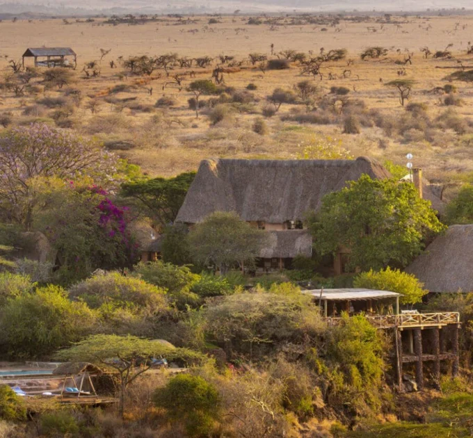 Lewa House