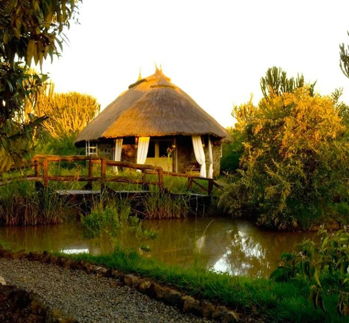 Mbweha Camp