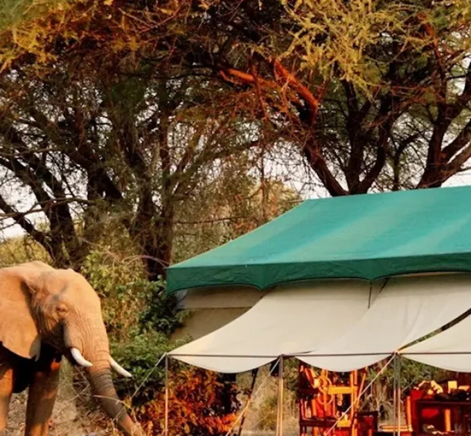 Old Mdonya River Camp