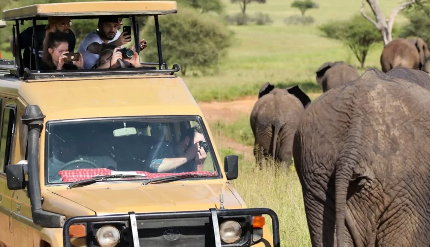 Plan the Perfect Family Safari Holidays Kenya with Diwaka Safaris