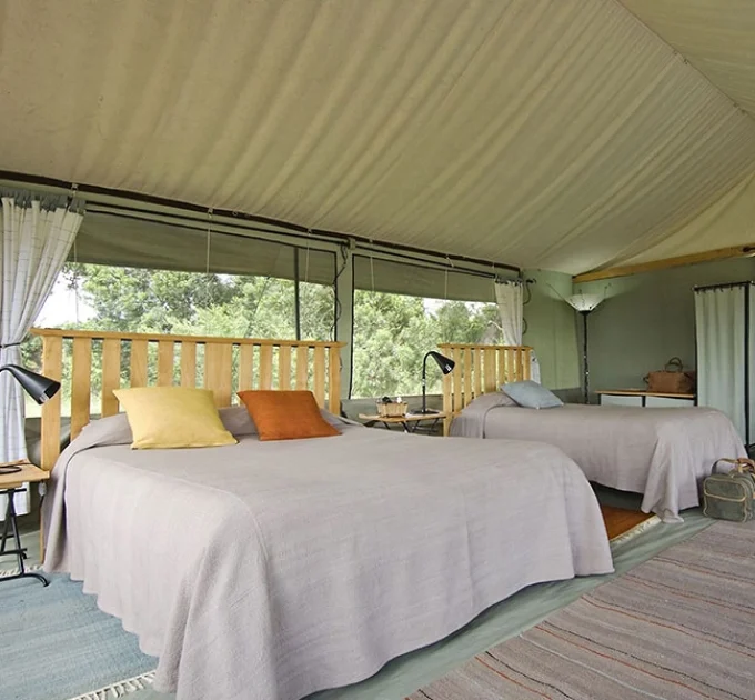 Porini Lion Camp