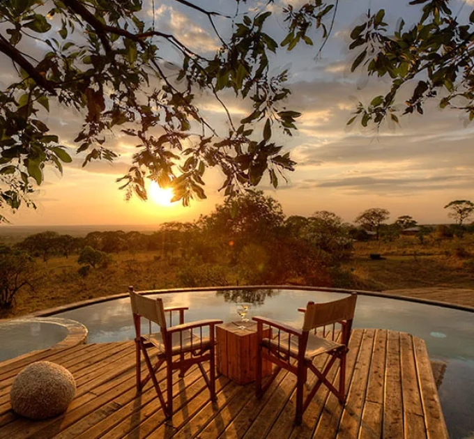 Serengeti Bushtops