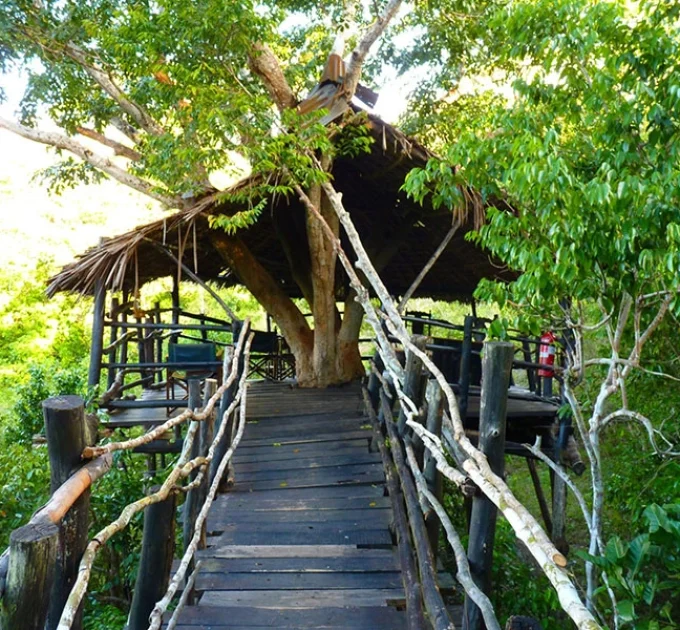 Shimba Hills Lodge