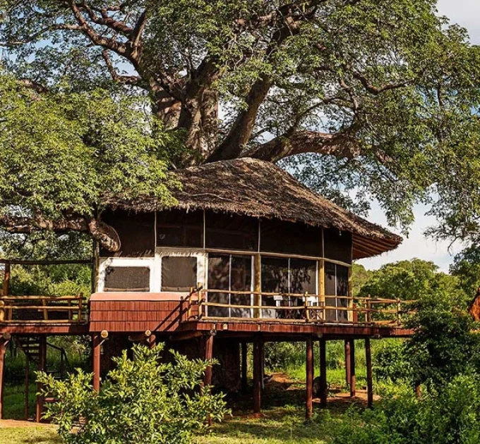 Tarangire treetops lodge