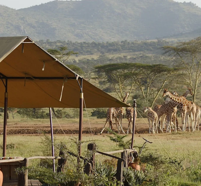 Voi Safari Camp