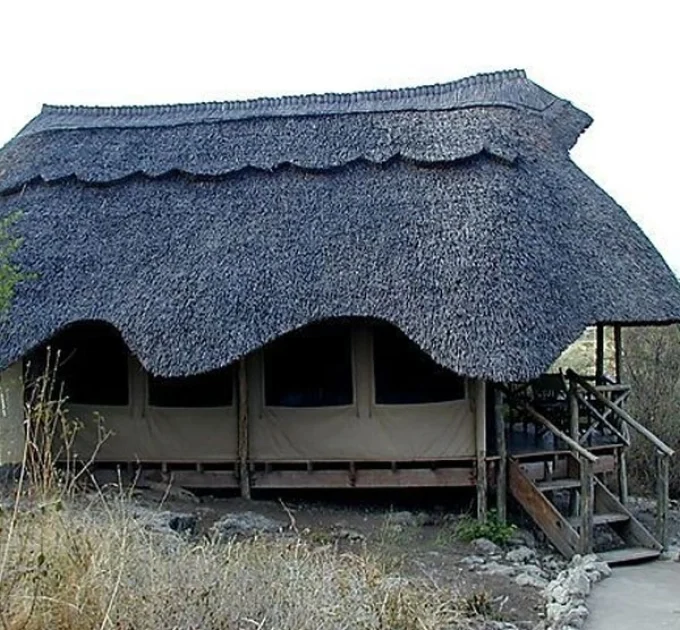 Wild Africa Lodge