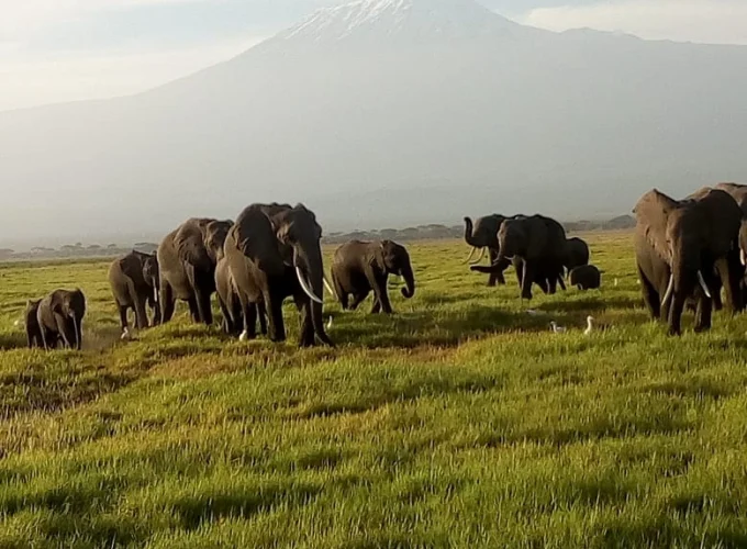 Lake Manyara National Park