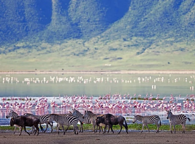 Ngorongoro Crater