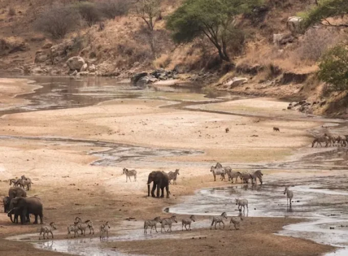 Tarangire National Park