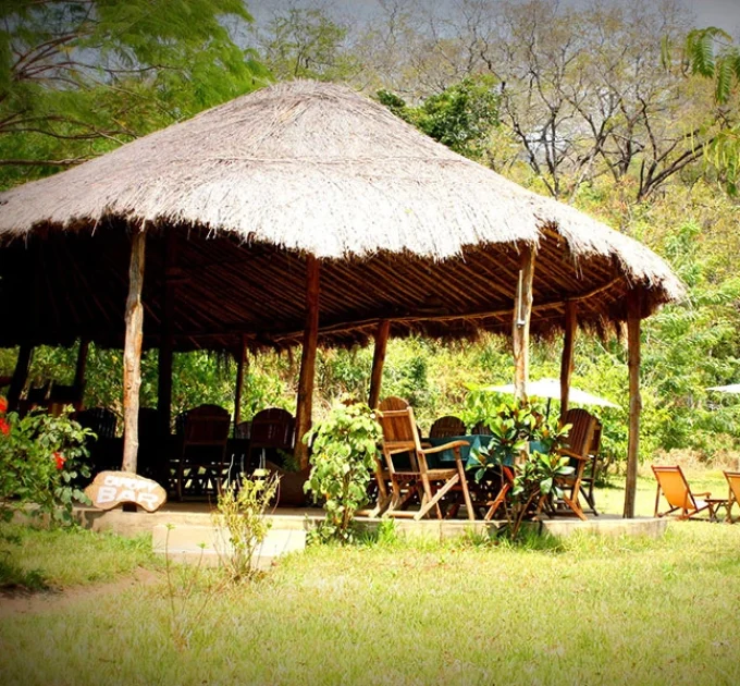 Apoke Lodge & Rest Camp