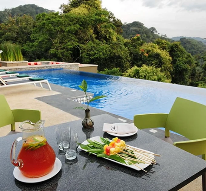Nyungwe Forest Lodge