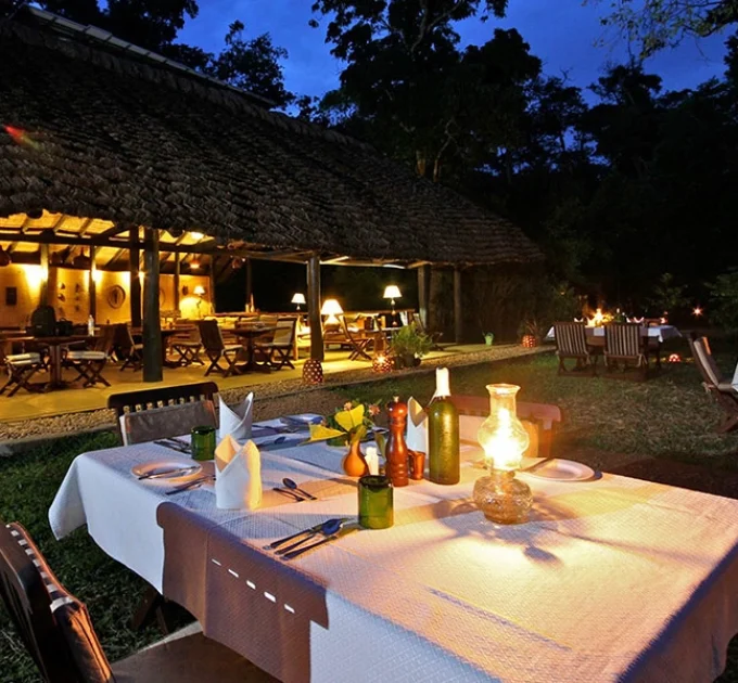 Wilderness Camp
