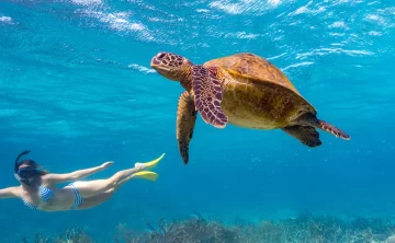 Kisite Mpunguti Marine National Park