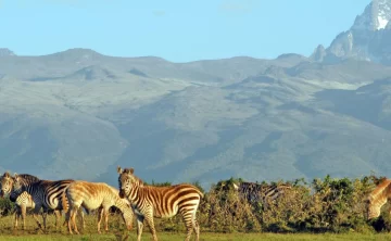 mt Kenya national park